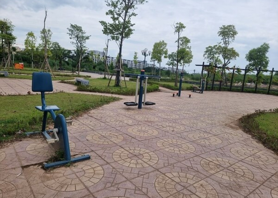 Các lỗi thường gặp khi tập luyện và cách khắc phục