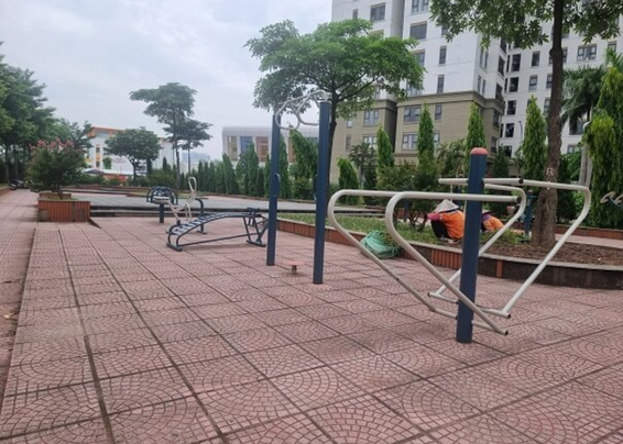 Gợi ý lịch tập luyện hiệu quả cho người mới bắt đầu