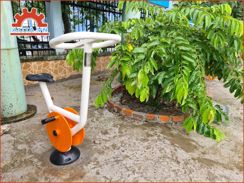 Lợi ích của việc cải thiện sức bền và tăng cường miễn dịch